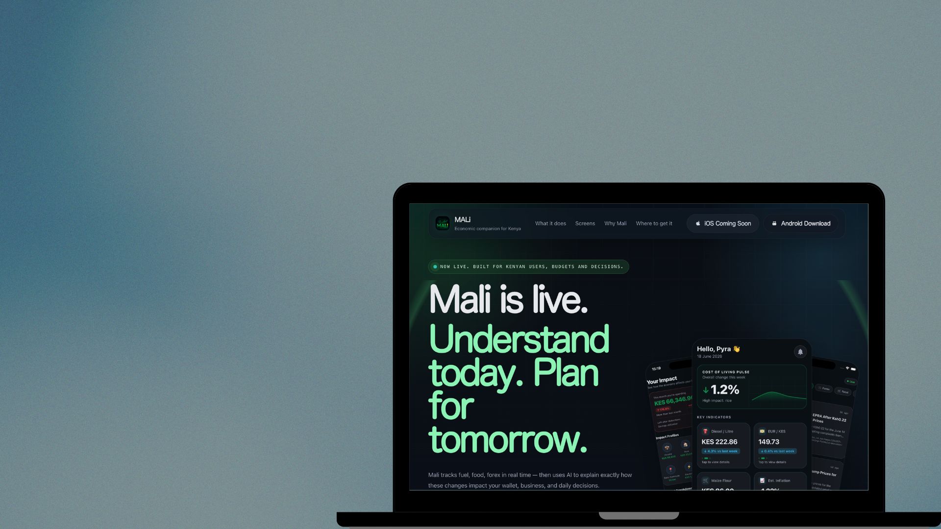 Mali Website — AI financial intelligence website