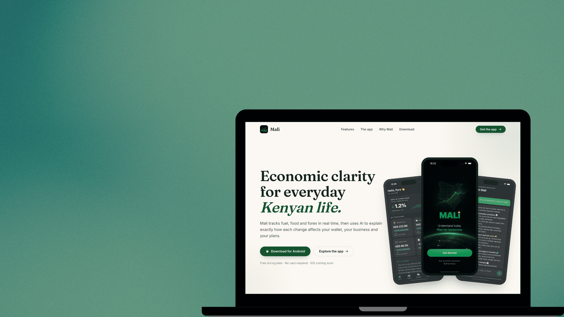 Mali Website — AI financial intelligence website
