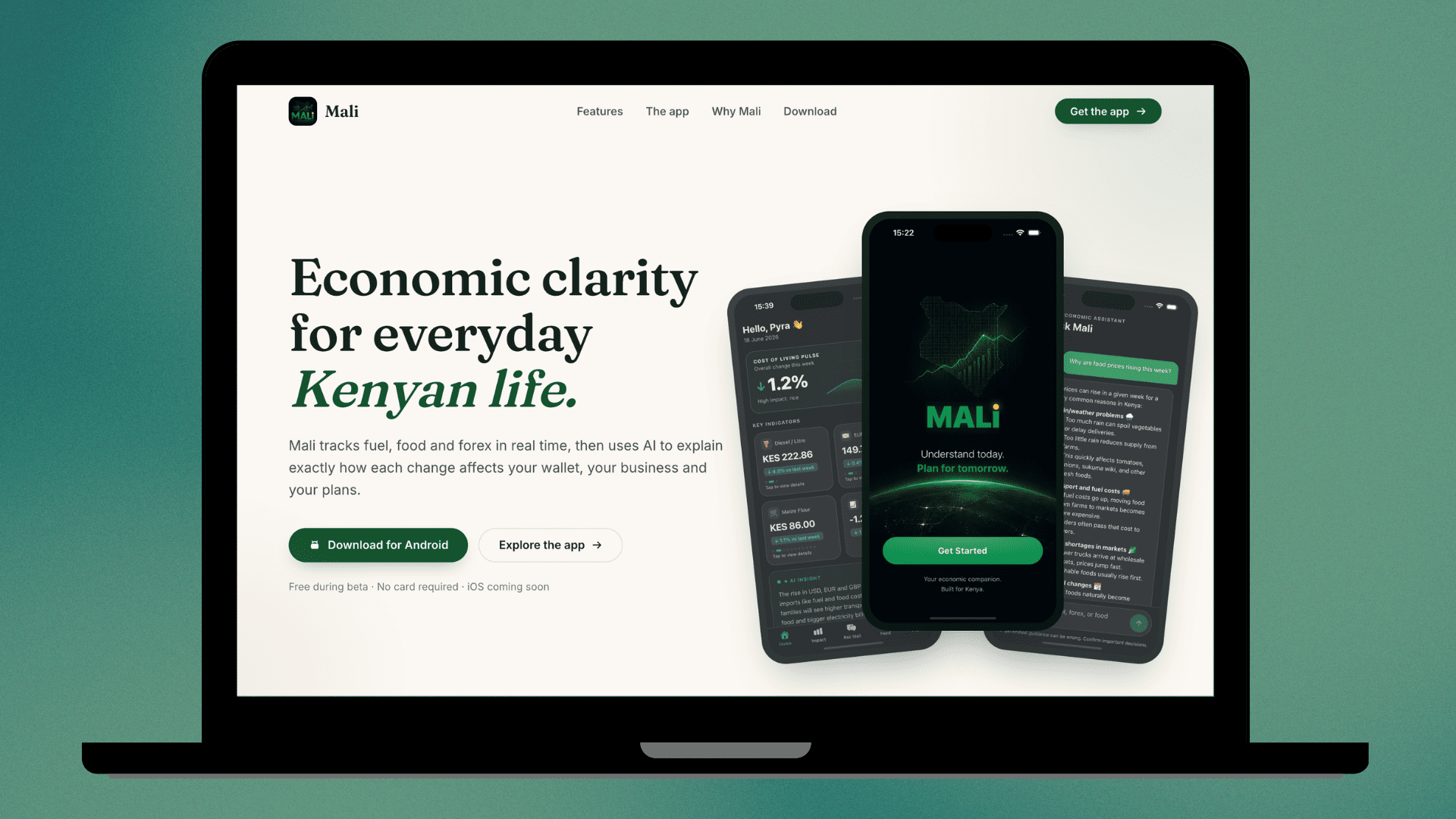 Mali Website screenshot